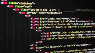 Warrior's Transition: From Combat to Code
